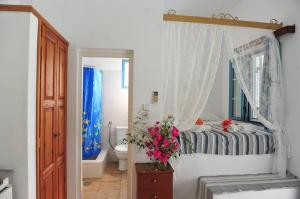 Lampi's Dolphin Patmos Greece