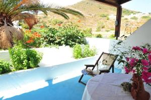 Lampi's Dolphin Patmos Greece