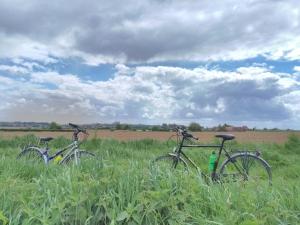 Guesthouse Kolibriehuys