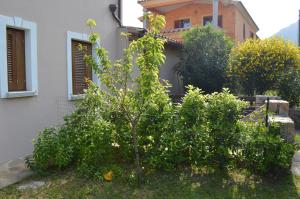 Guest Rooms Affittacamere img18