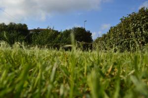 Guest Rooms Affittacamere img25