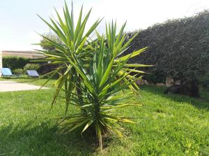 VILLA A 200 METRI DALLA SPIAGGIA img33