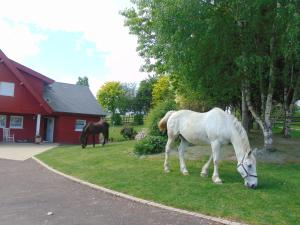 La chauviere photo 18