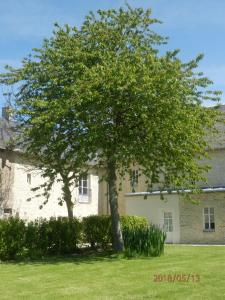 Maisons de vacances La Ferme de la Gronde : photos des chambres