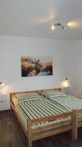 Ferienhaus Kellerwald