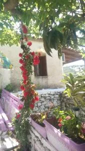 Kerry's Evia Island House - Tsakaíoi