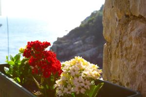 Apartments Gran Sasso