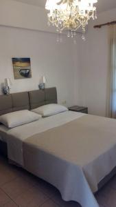 Studio room in Star Paradise