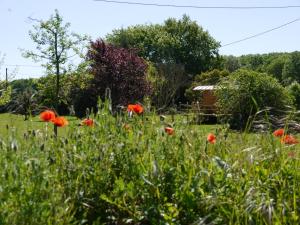 Lodges Coutillard : photos des chambres