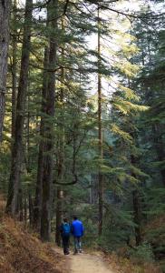 Thikalna Himalayan Retreat
