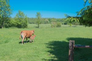 Sejours a la ferme Au Jardin Fleuri : photos des chambres