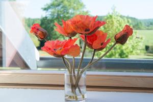 Fermes Au Jardin Fleuri : photos des chambres