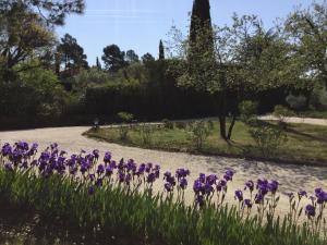 B&B / Chambres d'hotes Le Clos des Cigales : photos des chambres