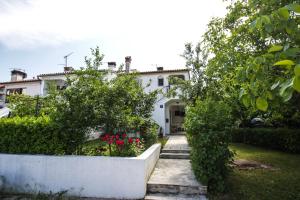 Apartments Dario