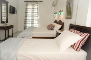 Erato Apartments Andros Greece