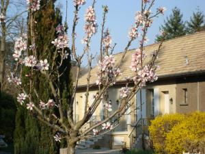 Appartements Les Communs du Manoir : photos des chambres