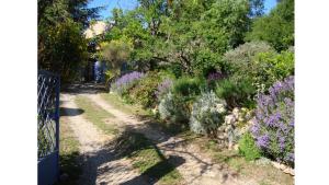 Maisons de vacances La Traversiere Condorcet : photos des chambres