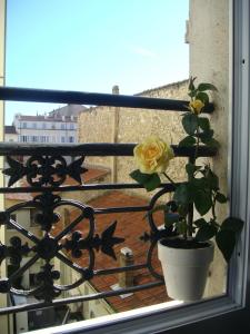 Hotels Little Palace : photos des chambres