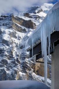 Eiger Mürren Swiss Quality Hotel