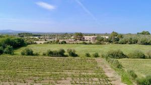 Finca Agroturismo Son Menut