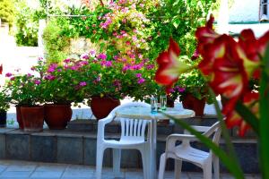 Geroulis Stefanos Studios