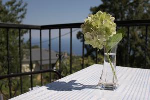 Guesthouse Kleopatra's Pelion Greece