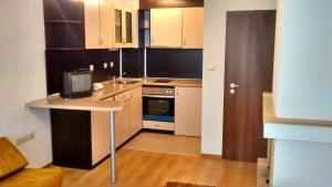 ONEderfull apartment Kosara Bansko