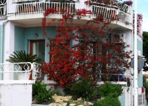 Il giardino all'angolo img1