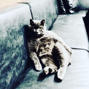 Pippos Little Resort