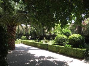 Villa Cindro House