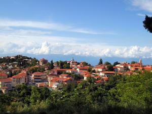 Apartment in Sighnaghi 14