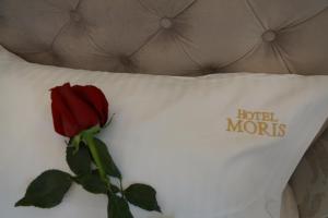 Single Room room in Moris Boutique Beach Hotel