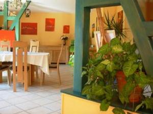 Vignoble