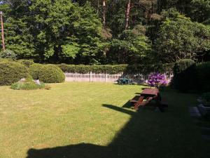 Ubytování u Máchova jezera - Apartmány - Ludmila Grulišová