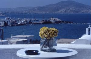 Despina's Mare Paros Greece