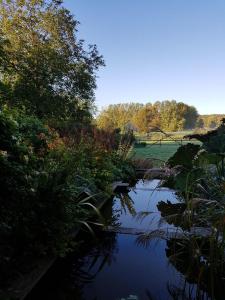 Maisons de vacances Les Buis de Boscherville Gite : photos des chambres