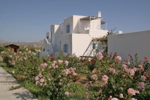 Annio Studios Naxos Greece