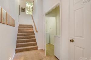 Pine Arbor Retreat