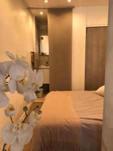 Appartements Studio tt equipe parking coeur ville : photos des chambres