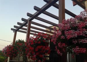 House Villa Mare