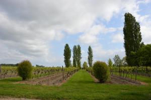 B&B / Chambres d'hotes Logis Des Bessons : photos des chambres