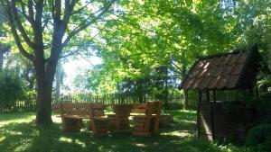 Dziki brzeg Jezioraka