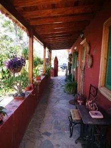 Casa Rural Finca La Laguna - 阿古洛