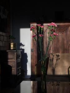 Apartamenty Ogrodowa - Lublin 700