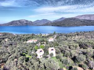 Gera's Olive Grove - Elaionas tis Geras Lesvos Greece