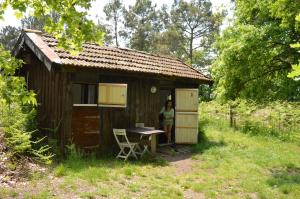 Cabane en forêt