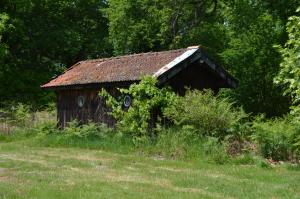 Sejours a la campagne Cabane en foret : photos des chambres