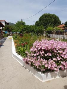 Asimina's House Skiathos Greece