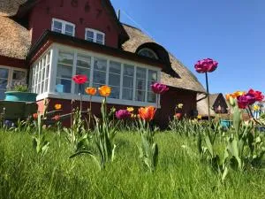 Hüs Sanskiin Ferienwohnung *Driiwholt* - Süddorf