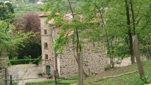 B&B / Chambres d'hotes Chateau Paysan ecolobio de Durianne : photos des chambres